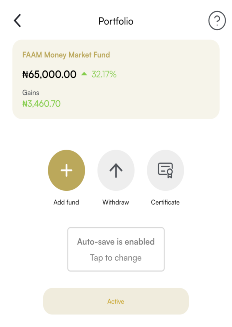 Portfolio Info Image